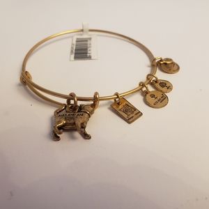 Alex and Ani brass color cat charm bracelet
